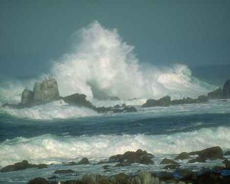 MARE1.jpg - 11977 Bytes